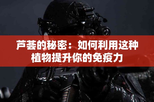 芦荟的秘密：如何利用这种植物提升你的免疫力