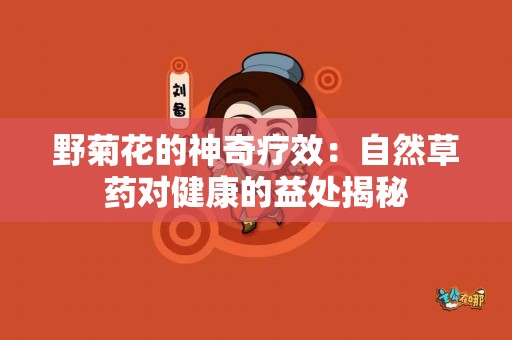 野菊花的神奇疗效：自然草药对健康的益处揭秘