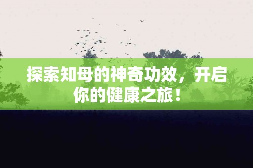 探索知母的神奇功效，开启你的健康之旅！