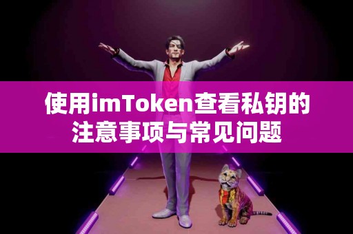 使用imToken查看私钥的注意事项与常见问题