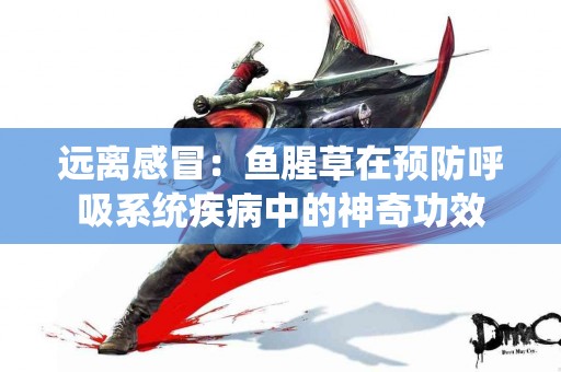 远离感冒：鱼腥草在预防呼吸系统疾病中的神奇功效