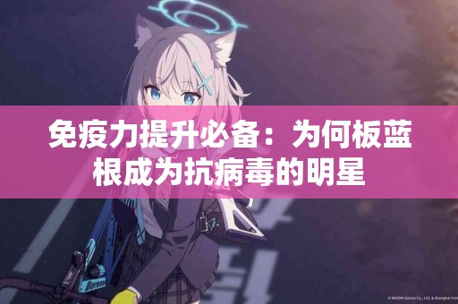免疫力提升必备：为何板蓝根成为抗病毒的明星