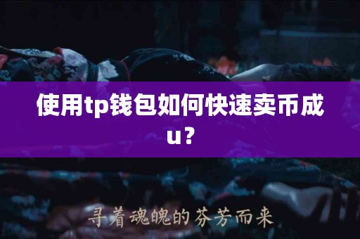 使用tp钱包如何快速卖币成u？