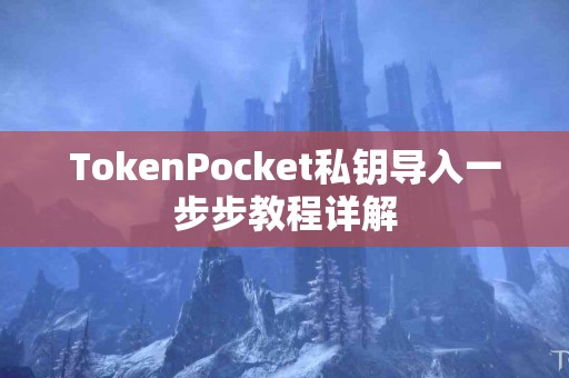 TokenPocket私钥导入一步步教程详解