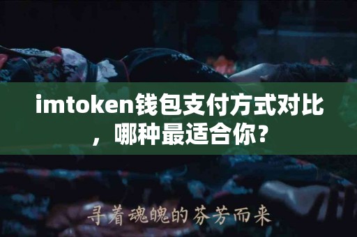 imtoken钱包支付方式对比，哪种最适合你？
