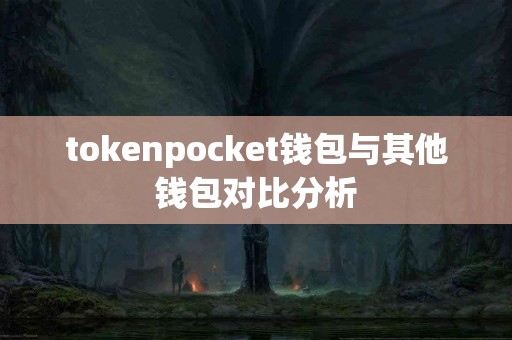 tokenpocket钱包与其他钱包对比分析