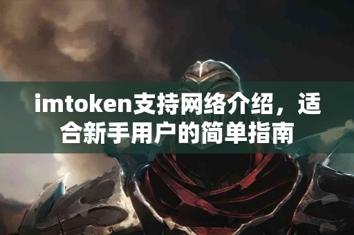 imtoken支持网络介绍，适合新手用户的简单指南