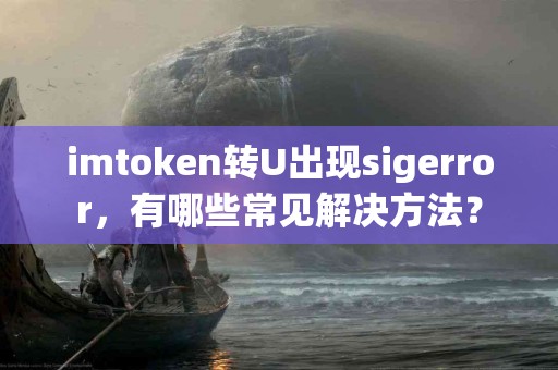imtoken转U出现sigerror，有哪些常见解决方法？