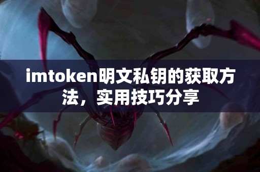 imtoken明文私钥的获取方法，实用技巧分享