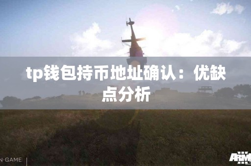 tp钱包持币地址确认：优缺点分析