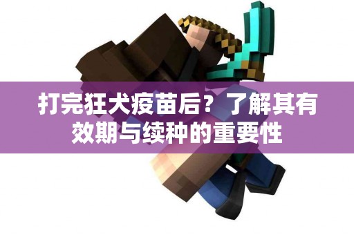 打完狂犬疫苗后？了解其有效期与续种的重要性