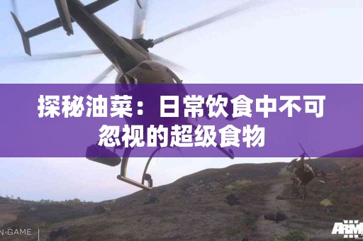 探秘油菜：日常饮食中不可忽视的超级食物