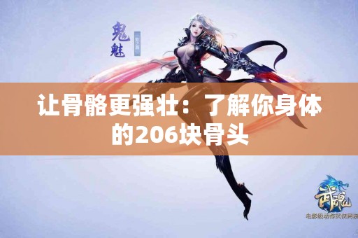 让骨骼更强壮：了解你身体的206块骨头