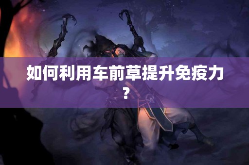 如何利用车前草提升免疫力？